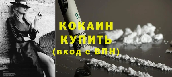 шишки Инсар