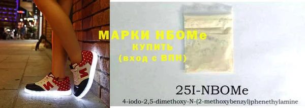 шишки Инсар