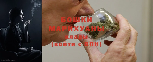 шишки Инсар