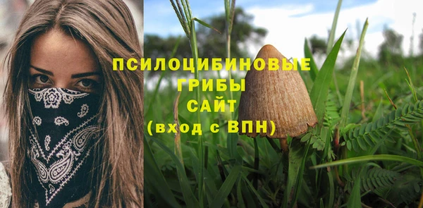 шишки Инсар
