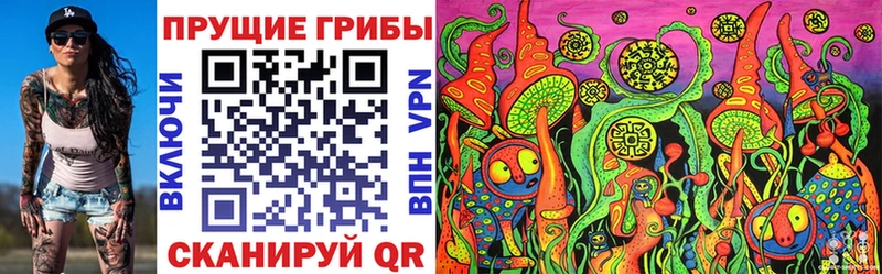 Купить где  Архангельск  Галлюциногенные грибы Psilocybe 