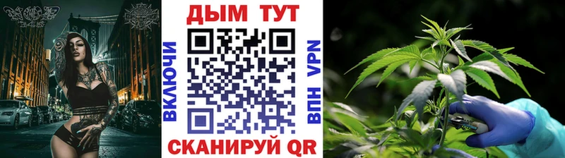 Каннабис план  Купить где  Архангельск 